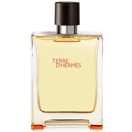 Hermes Terre Hermes EDT 100ml Parfum barbatesc